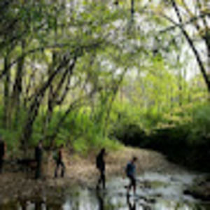 Meet your Posher, Mallory